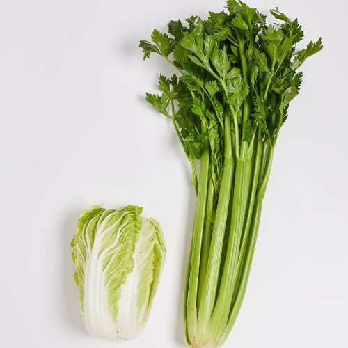Celery Seedling