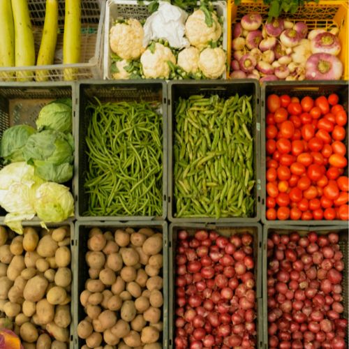 Successful organic vegetable garden in The Gambia