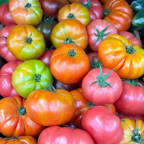 Heirloom Seeds and Organic Vegetables from Technofarm Gambia