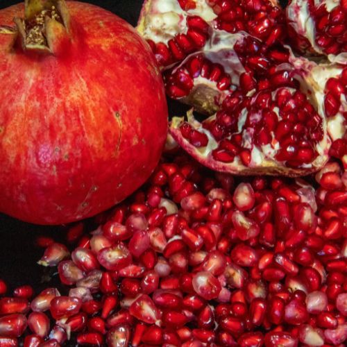 Pomegranate Seedling