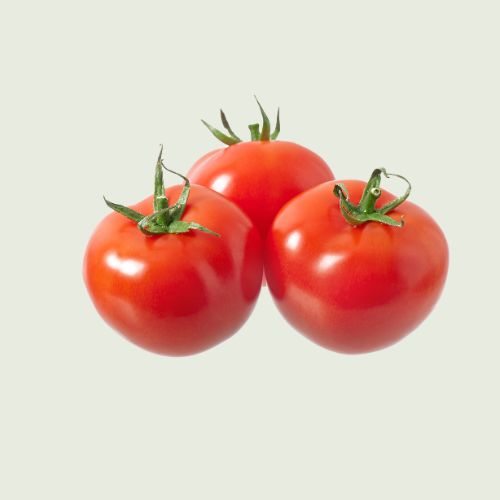 Red Tomato Seedling